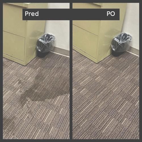 Komerčný koberec pred a po - odstránenie škvŕn